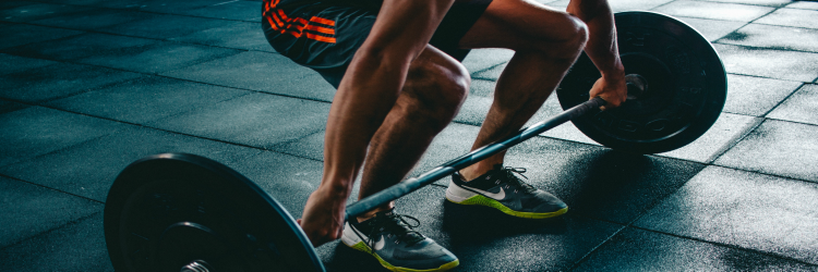 Text marketing – making life easier for SME business owners